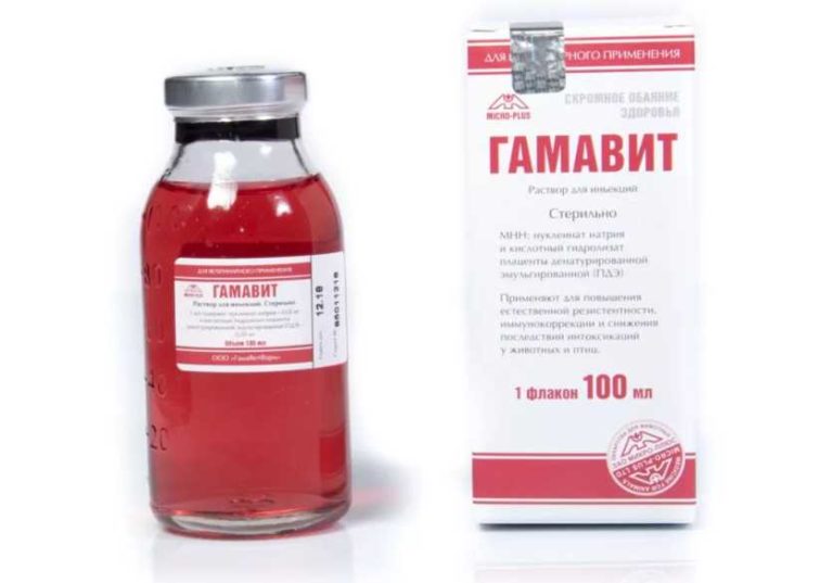 Гамавит Для Кошек Купить В Интернет Магазине