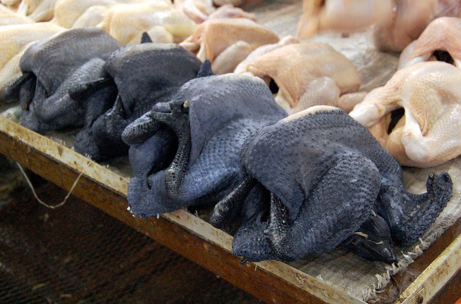 Черные куры с темным мясом — лучшие породы
