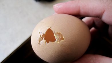 Photo of Куры клюют яйца — что делать, народные средства