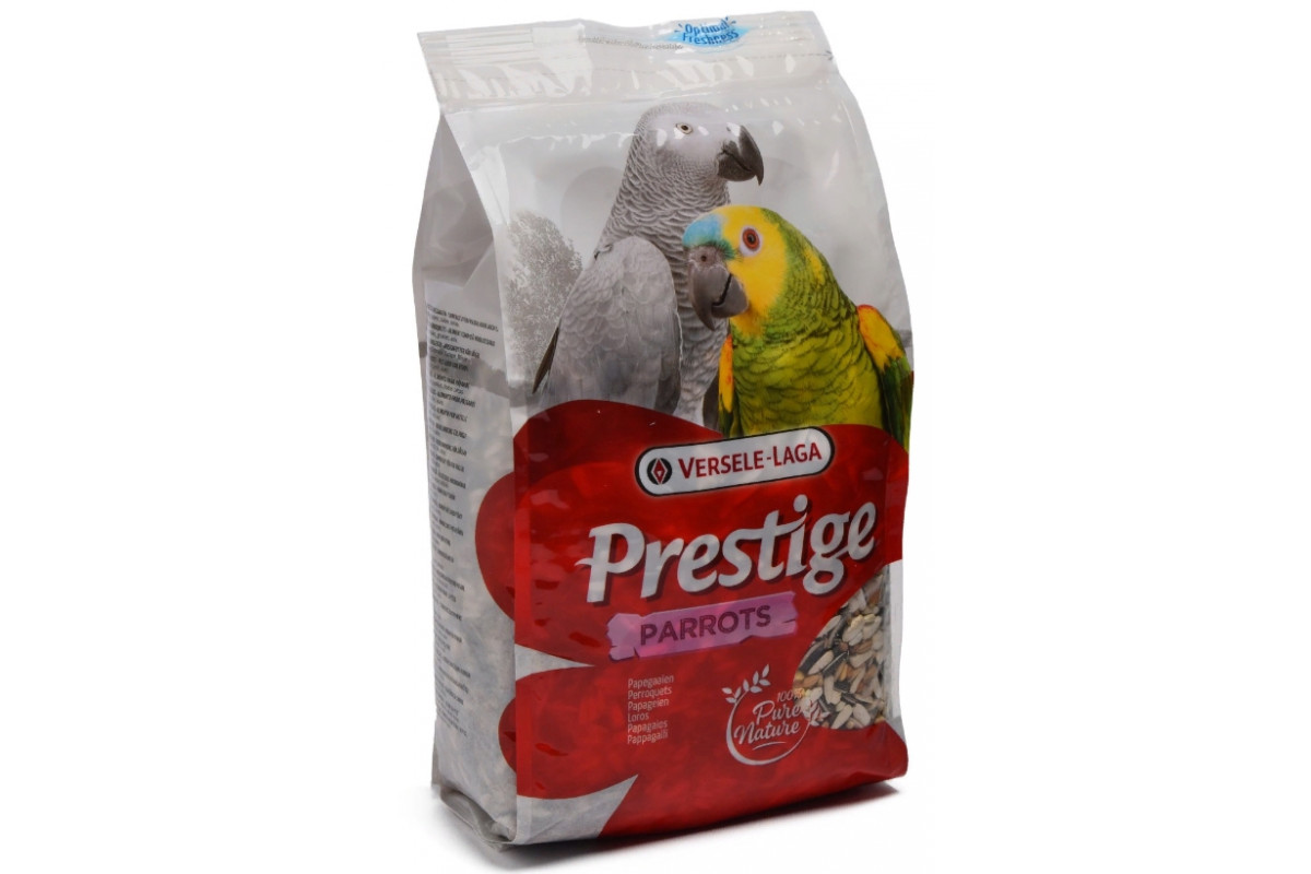 Как выбрать корм для попугая